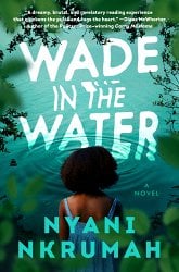 Wade in the&nbsp;Water